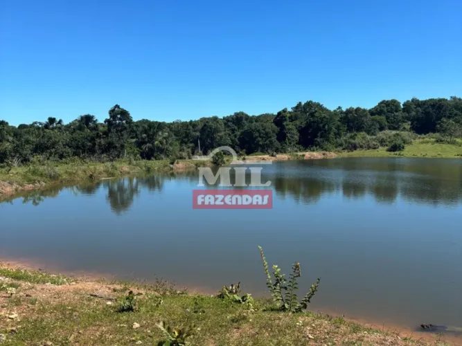 Fazenda 30 Alqueires (145,2 hectares) Faina - GO