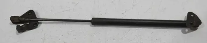 Amortecedor Da Tampa Traseira Bmw X1 2010 - 2015