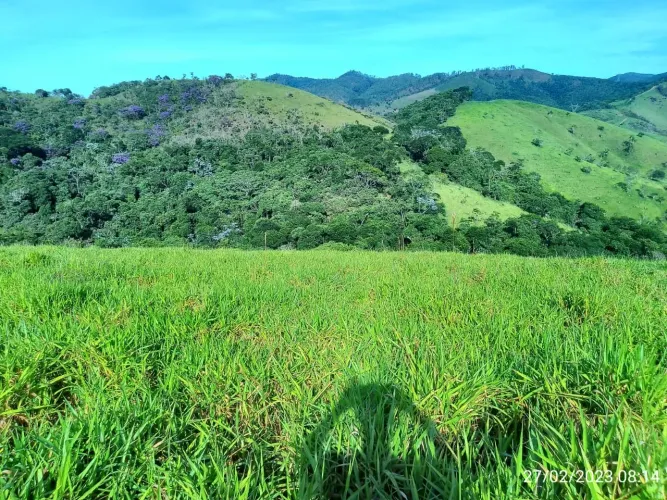AREA COM 11.5 ALQUEIRES EM MONTEIRO LOBATO SP