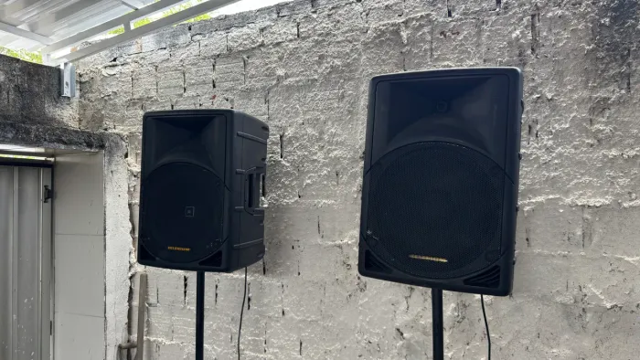 Par de Caixas de som selenium passivas