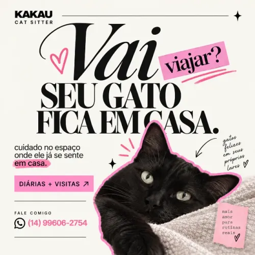 Cuidadora de gatos em Botucatu