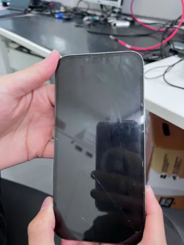 iPhone 13 Pro Max
