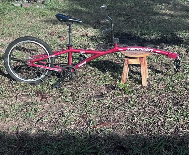 Reboque infantil para bicicleta aro 20