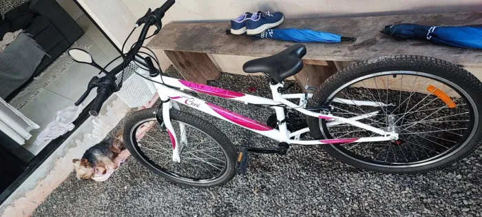 Bicicleta aro 24