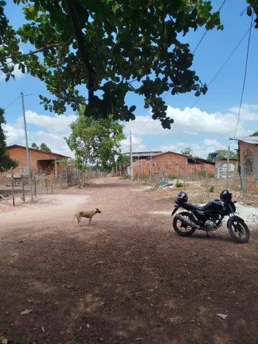 Terreno no bairro novo horizonte 