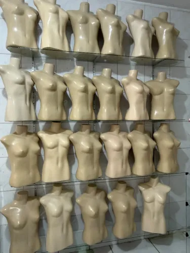 Bustos femininos