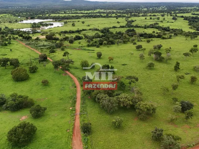 Fazenda 150 Alqueires (726 hectares) Amaralina - GO