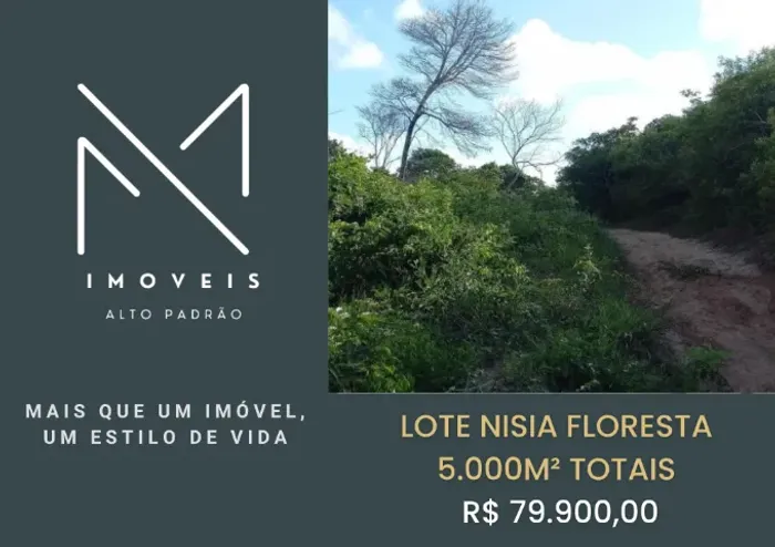 TERRENO 5.000M² EM NISIA FLORESTA ESCRITURA PUBLICA