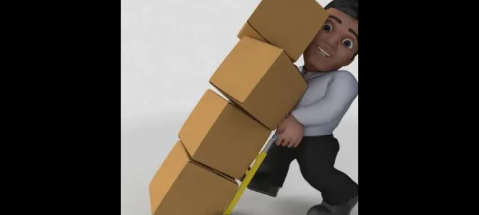 Ajudante de mudança profissional