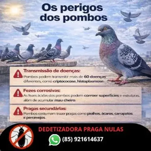 Controle de pombos e morcegos