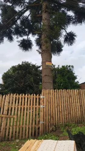 (Terreno em Curitiba)bairro pinheirinho. Rua Francisco dzikowicz-n95