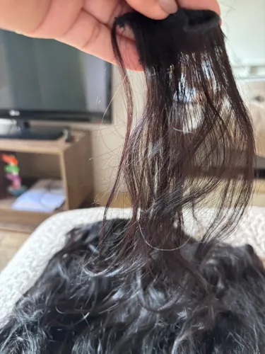 Cabelo brasileiro