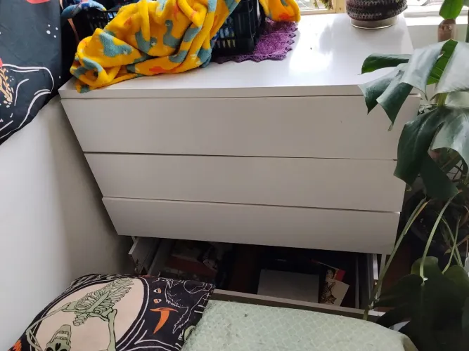 Comodadoacao