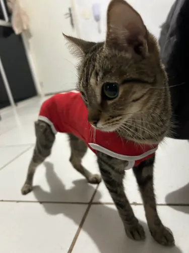 Doação 