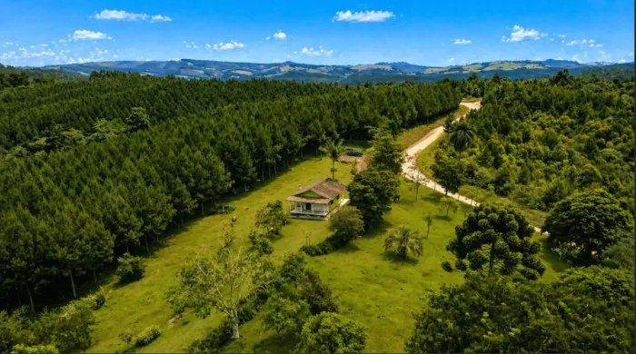 Campo Largo/ Três Córregos,Fazenda 92,94 Hectares+ Reflorestamento + Lago + Alto Potencial