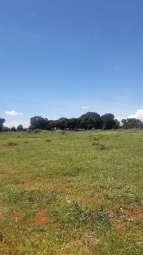 Chácara no Núcleo Rural Morumbi com 1 hectare, fica aproximadamente 600 metros da PRV