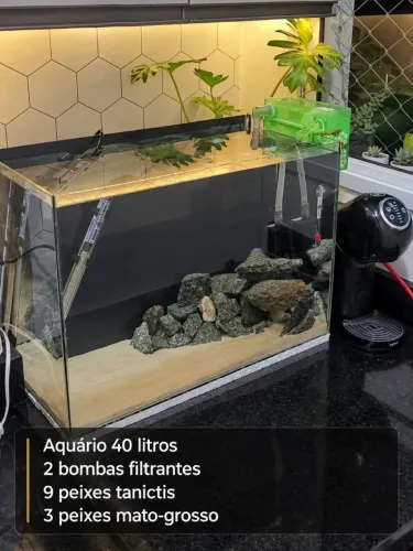 Aquário excelente estado