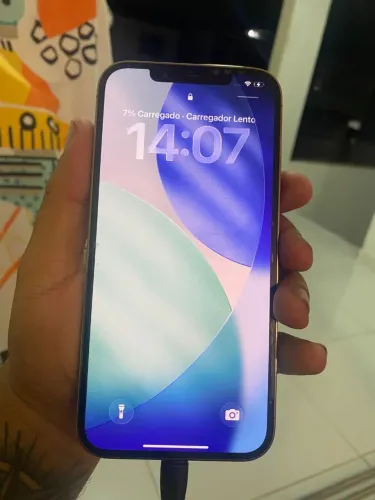 12 Pro max