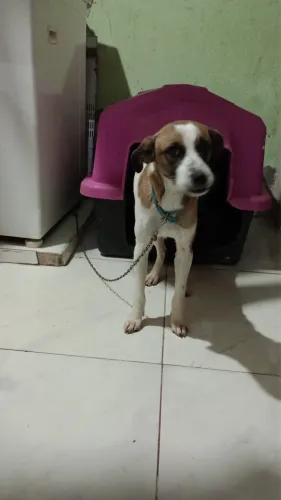 Doação responsável 