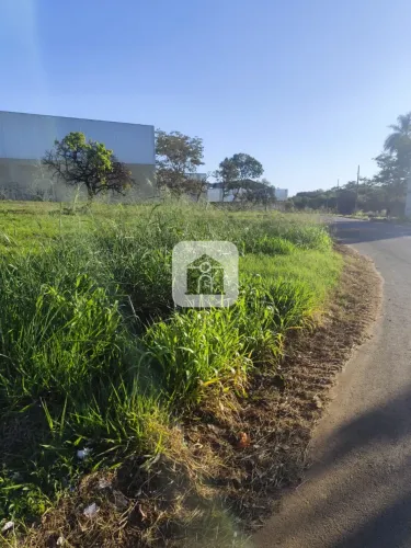 Terreno para venda no bairro Nossa Senhora das Graças