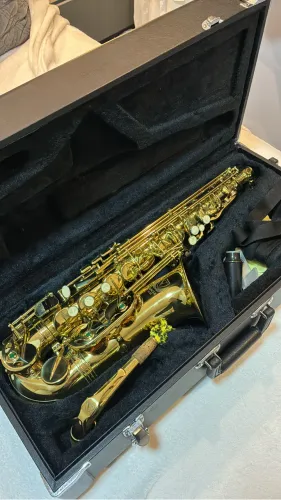 Sax alto Eagle SA 501