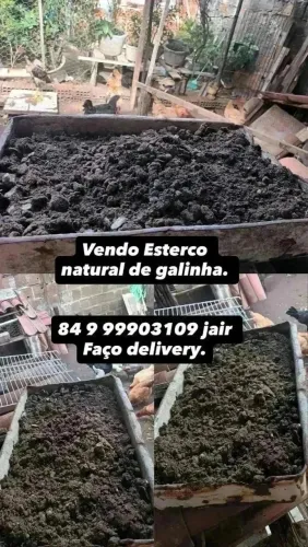 Esterco galinha, nitrogênio, fósforo e potássio. 