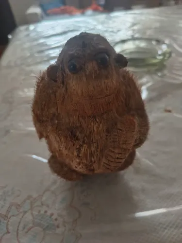 Macaco de coco
