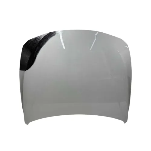 Capo Dianteiro Bmw 320i 2013 2014 2015 2016 2017 2018