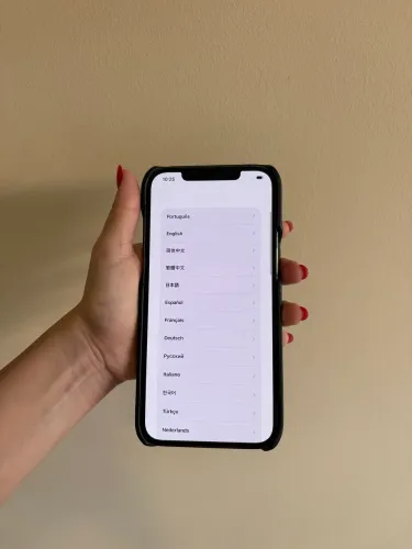 iPhone 12 Pro Max 256 GB 