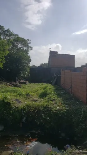 terreno lote inteiro bem localizado