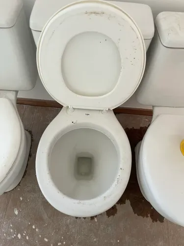 Vasos sanitários Celite usados