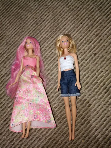 Dupla de Barbies de 2015.