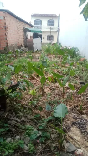 ELOISA VENDE LOTE EM VILA com 125 m² SENDO 5 X 25 NA AV. PEDRO MIRANDA em Pedreira - Belém