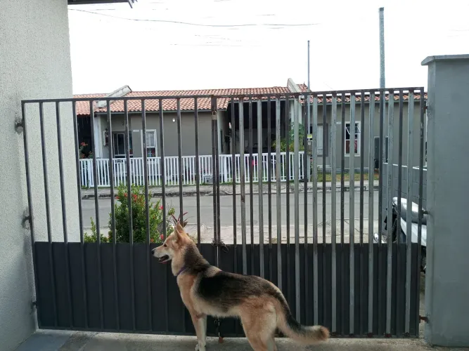 PORTÃO DUAS FOLHAS GALVANIZADO