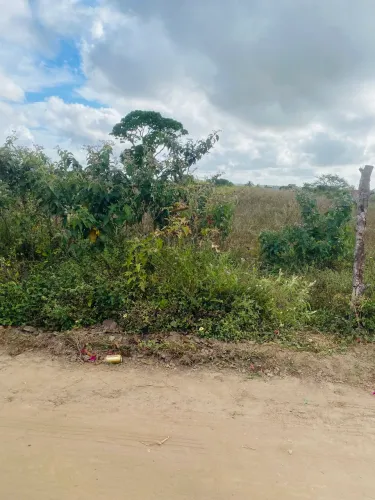 Terreno