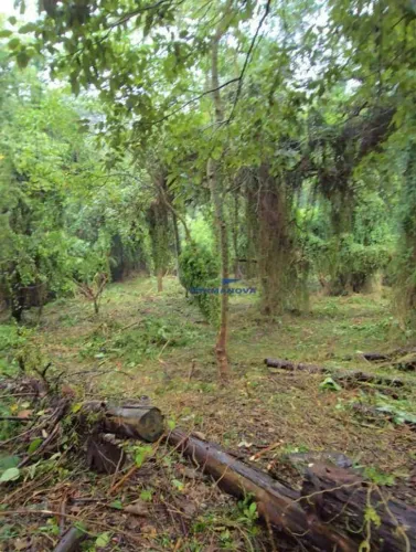 Terreno à venda, 816 m² por R$ 480.000 - Nova Higienópolis - Granja Viana - SP