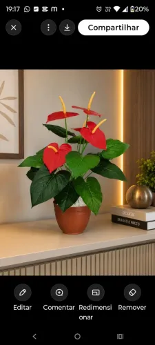 anturio vermelho