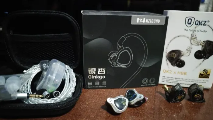 QKZ x HBB, HZsound Ginkgo e cabo 2pin recessed (ñ moondrop simgot fiio epz kz juzear)