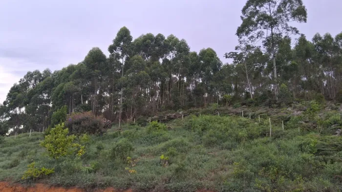 Chácara, sítio em santa maria de jetibá