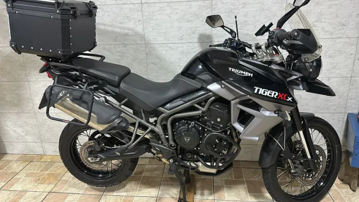 Tiger 800 XCX