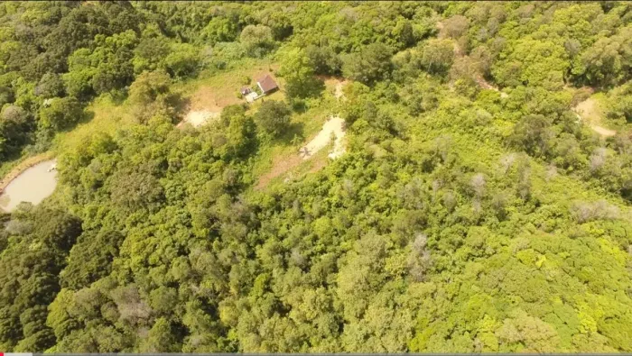 Vendo Sítio Pico da Montanha/Rolante/RS