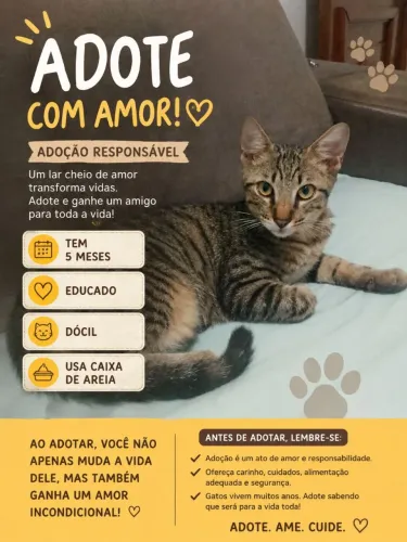 Adote por amor