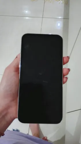 iPhone 13 Pro Max 256GB