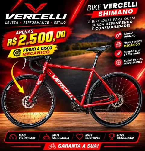 Bicicleta speed