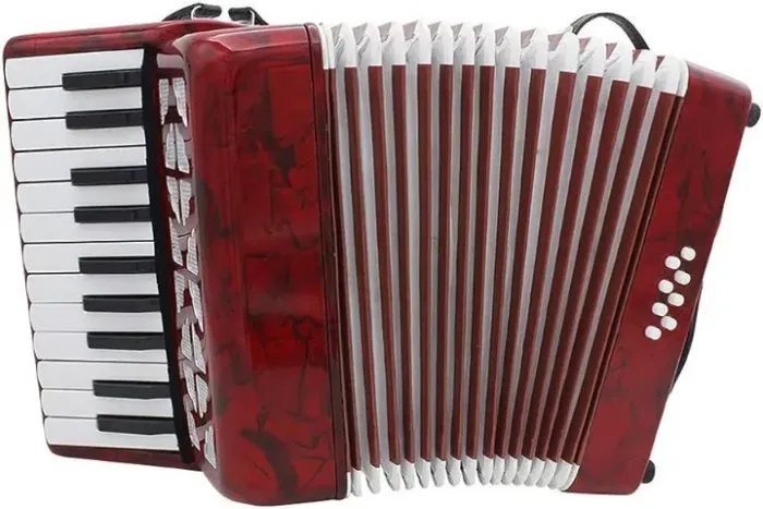 acordeon sanfona infantil 22 teclas e 8 baixos