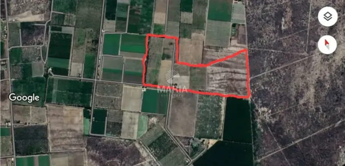 Fazenda de uva em Petrolina/PE com 16 Hectares!