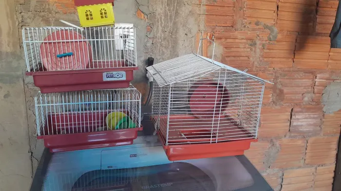 Vendo gaiolas para hamster