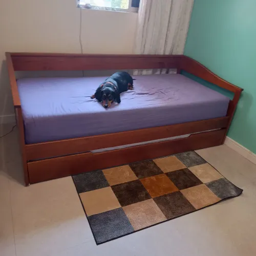 Vendo bicama solteiro madeira maciça qualidade TOP, estado de nova e pela metade do preço!