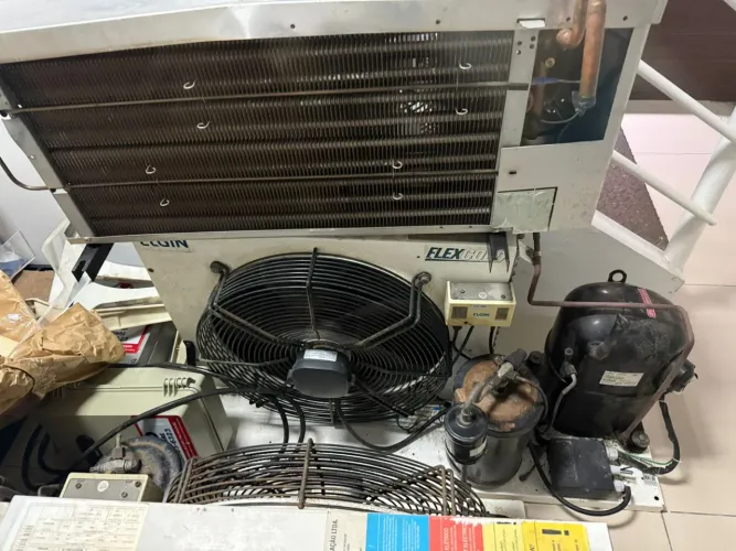 Motor câmara fria congelados