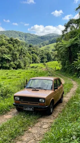 Fiat 147 C/ CL 1979